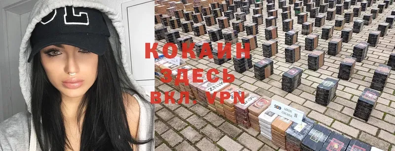 купить наркотики цена  Буйнакск  COCAIN VHQ 