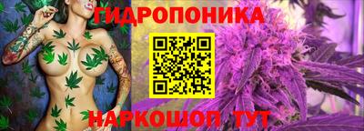 спиды Заволжье