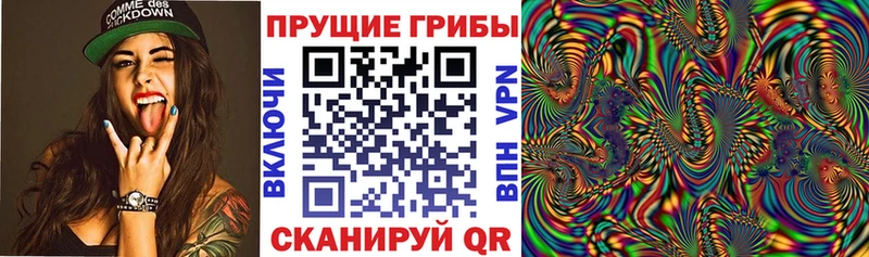 Галлюциногенные грибы MAGIC MUSHROOMS  купить закладку  Буйнакск 
