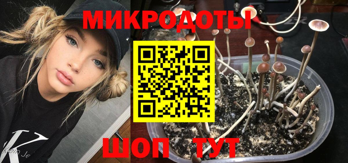 Буйнакск  Галлюциногенные грибы Cubensis  Псилоцибиновые грибы Psilocybine cubensis  Вход с VPN 