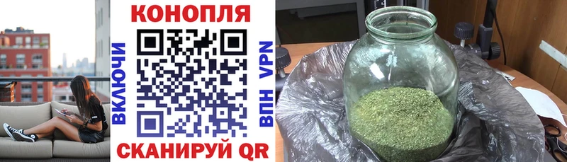 Конопля OG Kush  Буйнакск 